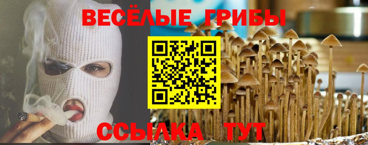 Псилоцибиновые грибы Magic Shrooms  Вход с VPN  Псилоцибиновые грибы Psilocybine cubensis  Стрежевой 