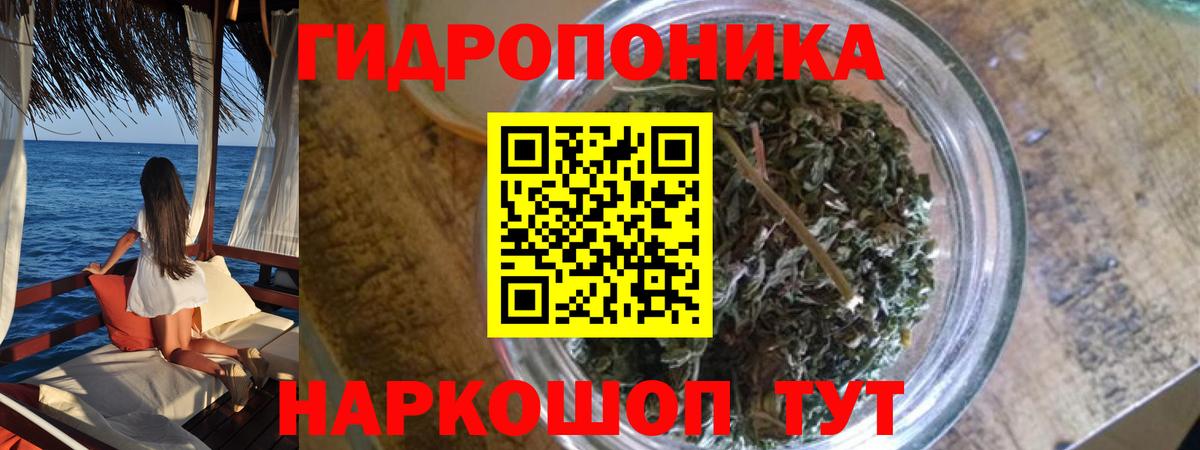 Канабис конопля Стрежевой